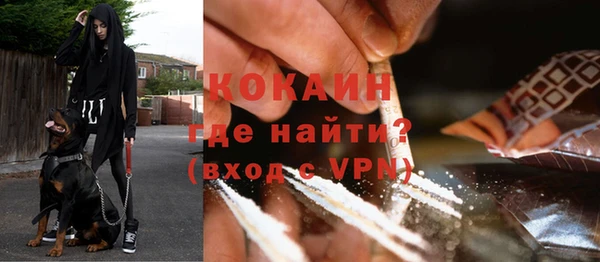 спайс Богданович