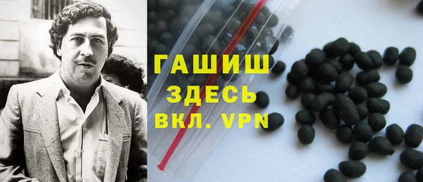 стаф Богородск