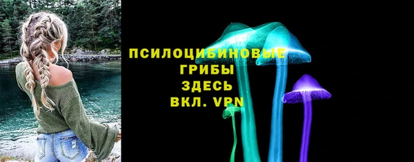 стаф Богородск