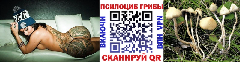 Галлюциногенные грибы Magic Shrooms  Купить где  Усть-Катав 